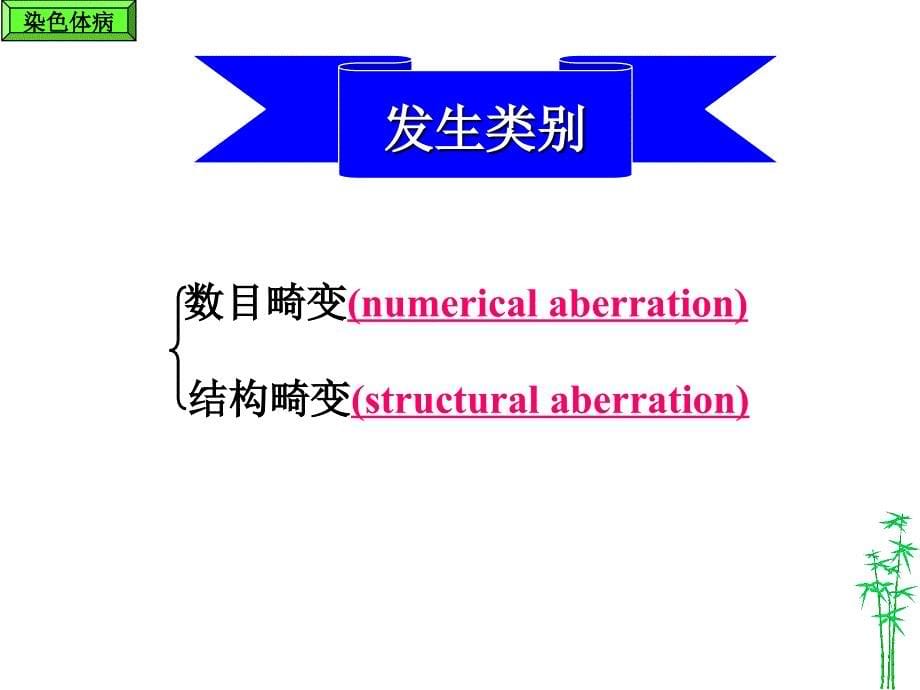 染色体病课件_第5页