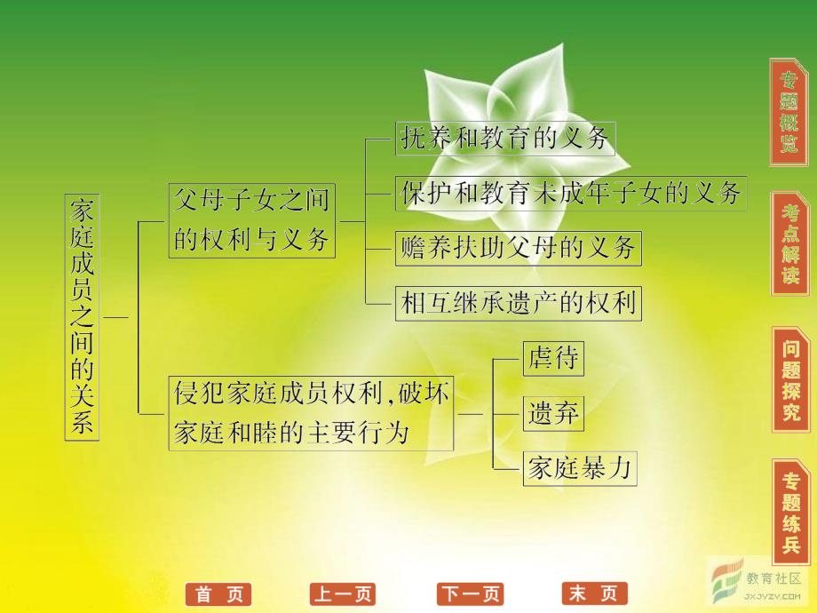 高三政治选修5一轮复习课件：专题5 家庭与婚姻_第3页