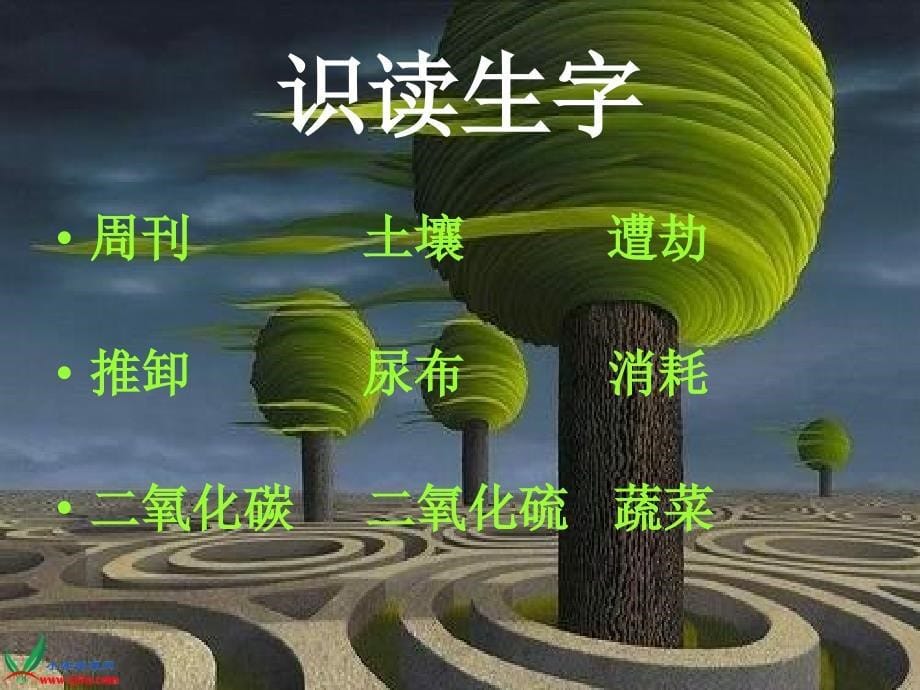 保护地球我们能做些什么1_第5页