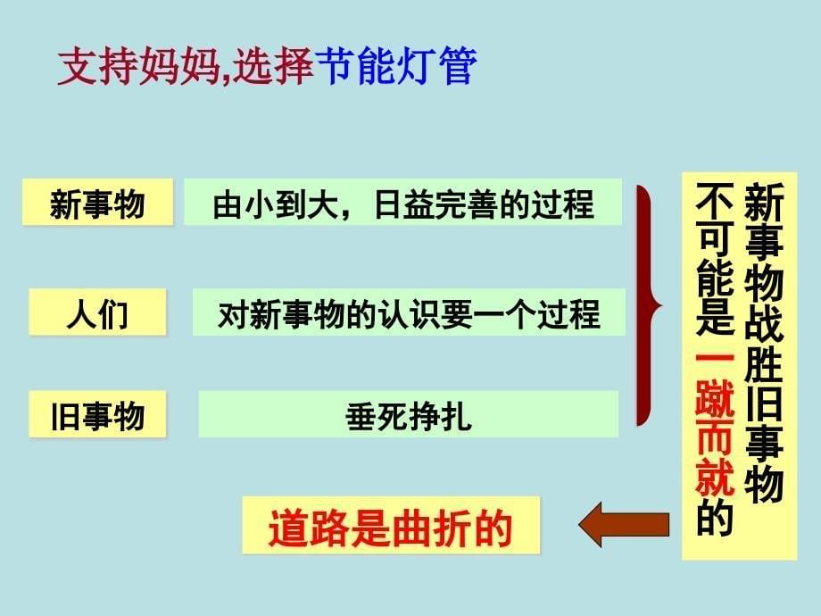 高中政治必修四 哲学8.2用发展的观点看问题_第5页