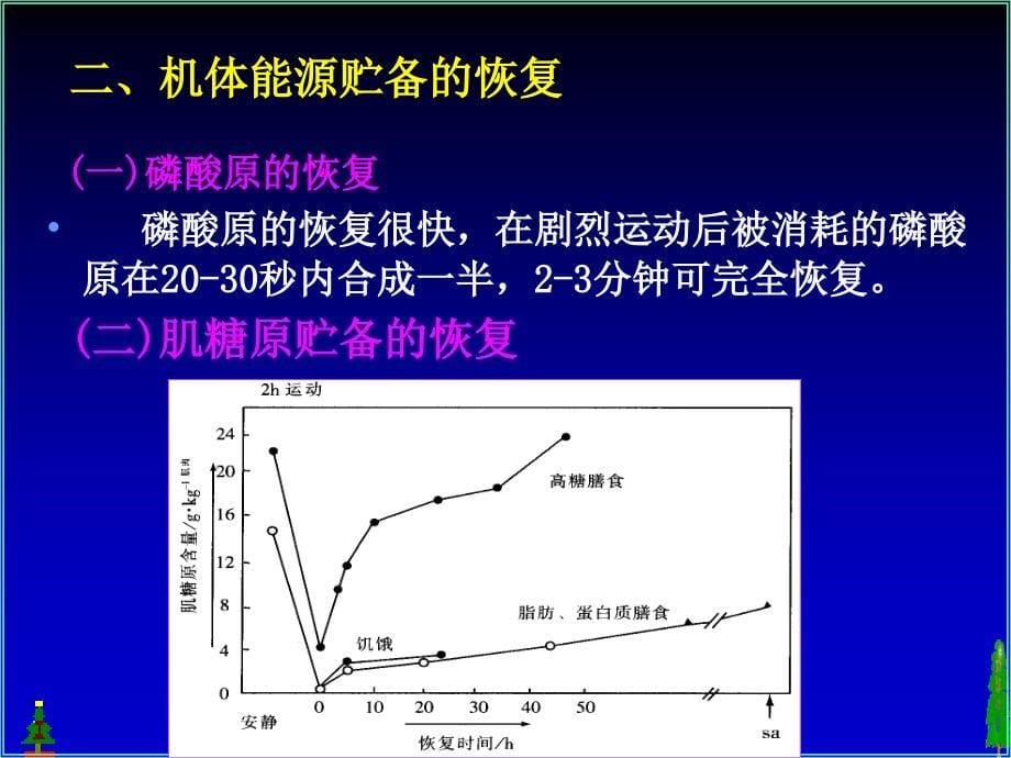 19人体机能变化4_第5页