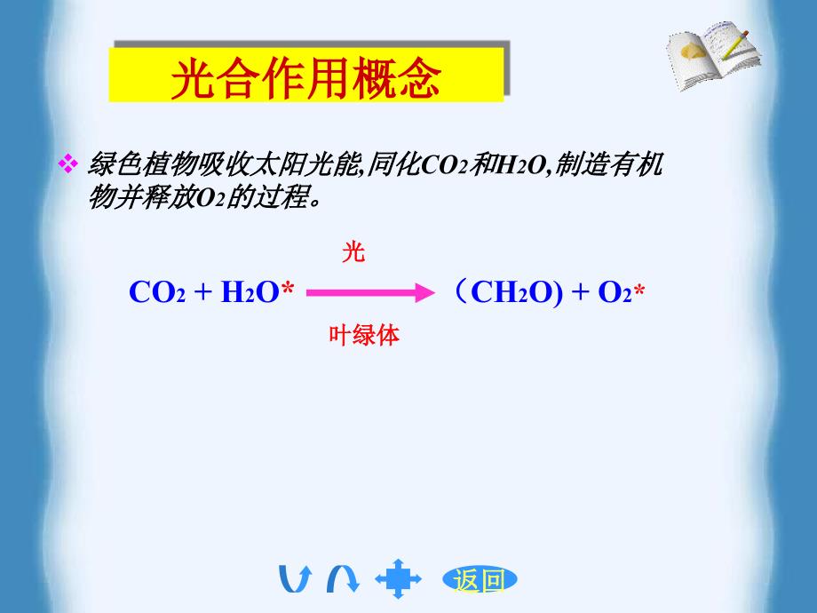 植物生理学-光合作用.ppt_第3页