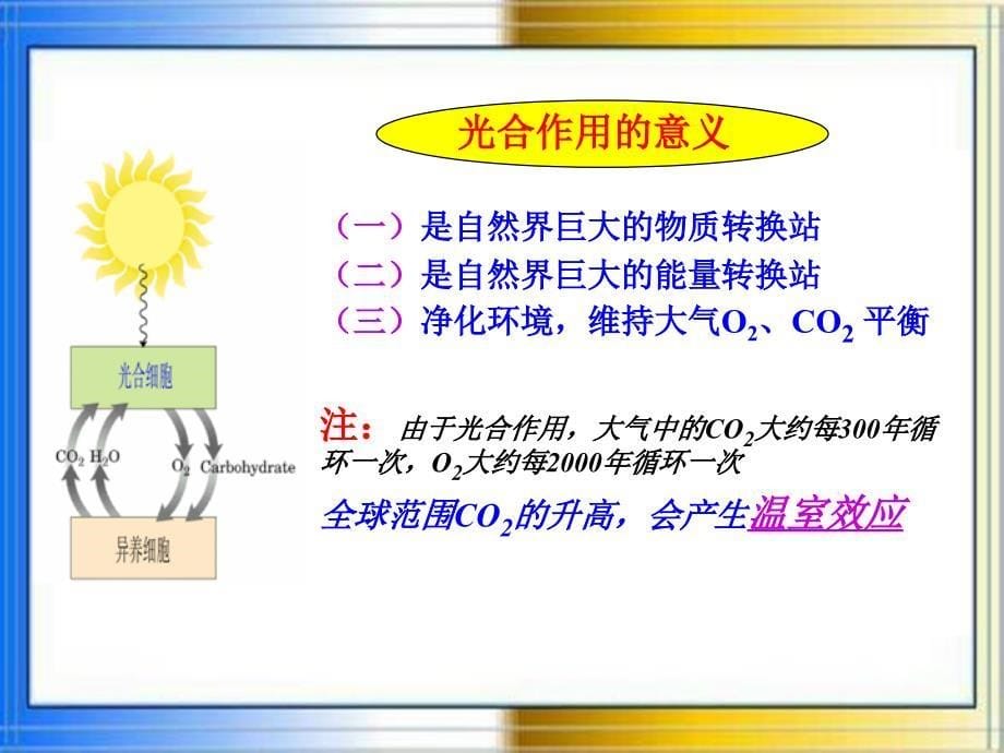 植物生理学-光合作用.ppt_第5页