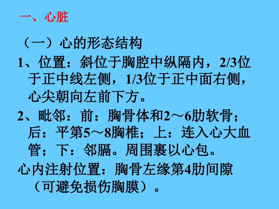 人体组织解剖学课件：循环系统_第3页