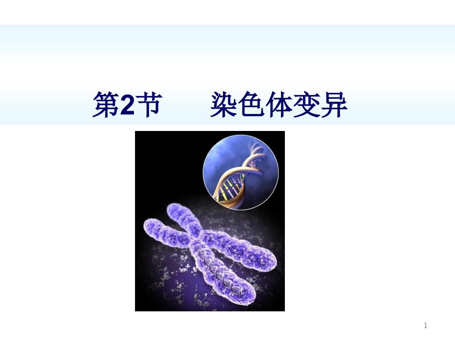 染色体变异ppt课件_第1页