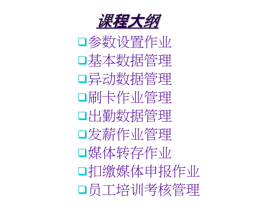 ERPSAP资料人事薪资管理系统_第2页