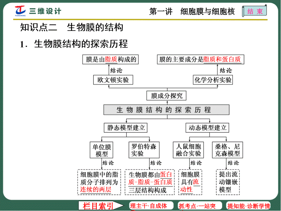 第一讲细胞膜与细胞核_第3页