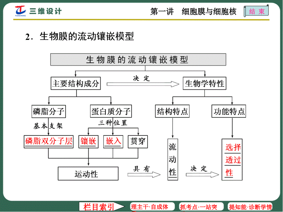 第一讲细胞膜与细胞核_第4页