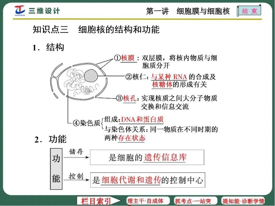 第一讲细胞膜与细胞核_第5页