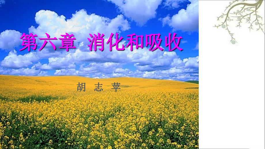 生理学消化和吸收1_第1页