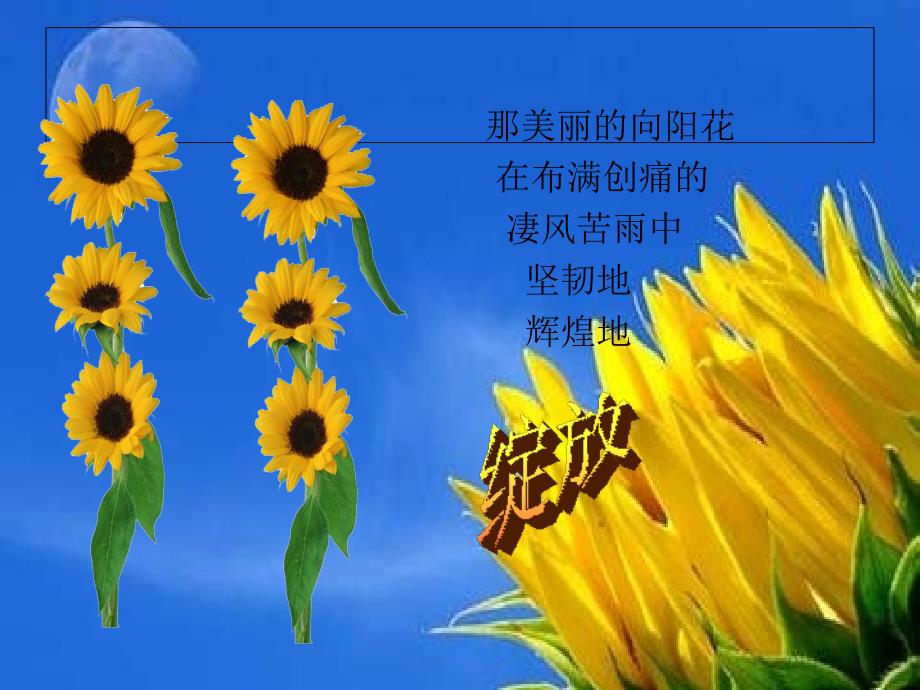 教师专业成长记录PPT_第3页