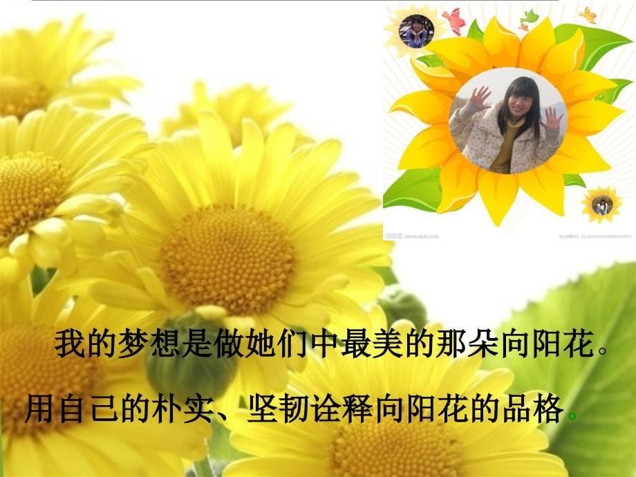 教师专业成长记录PPT_第5页