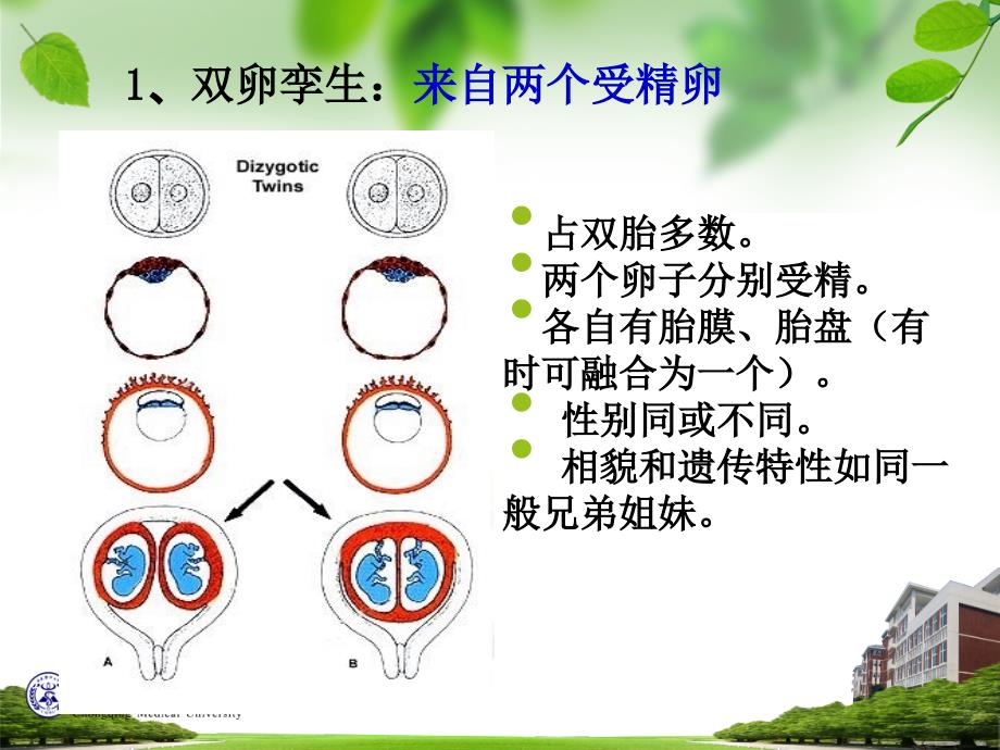 双胎畸形颜面消化呼吸系统发生_第4页