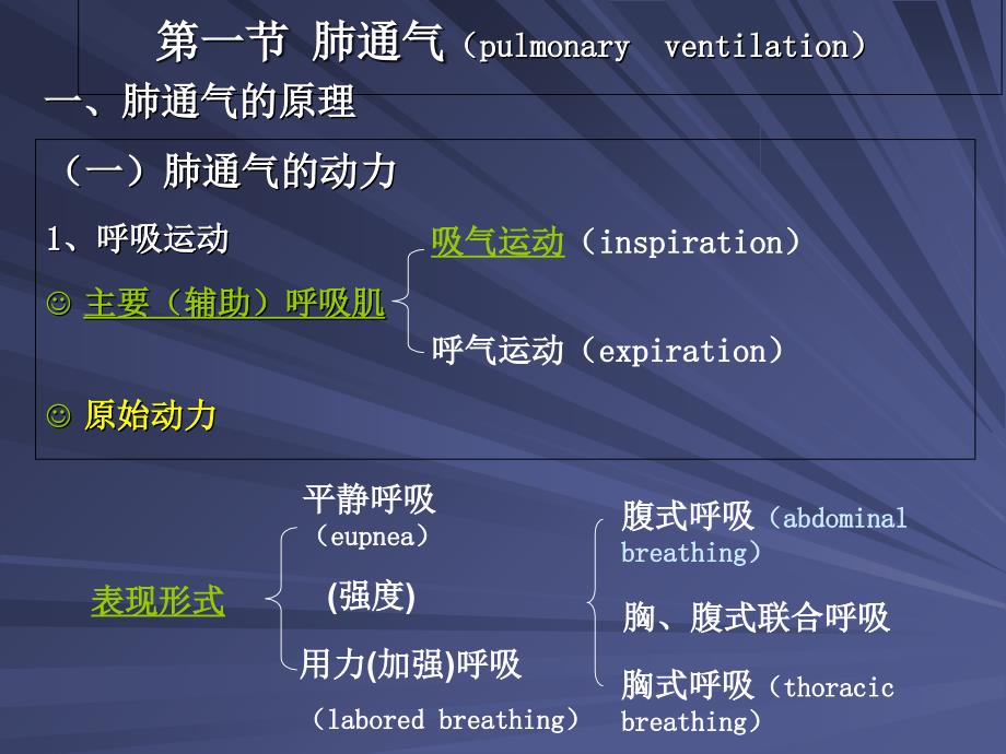 第五章-呼吸和体温课件_第1页