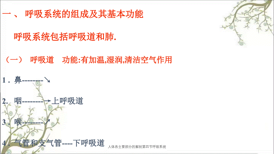 人体各主要部分的解剖第四节呼吸系统_第2页