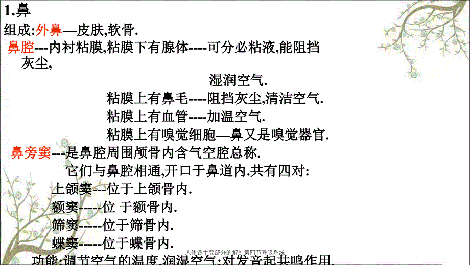 人体各主要部分的解剖第四节呼吸系统_第4页