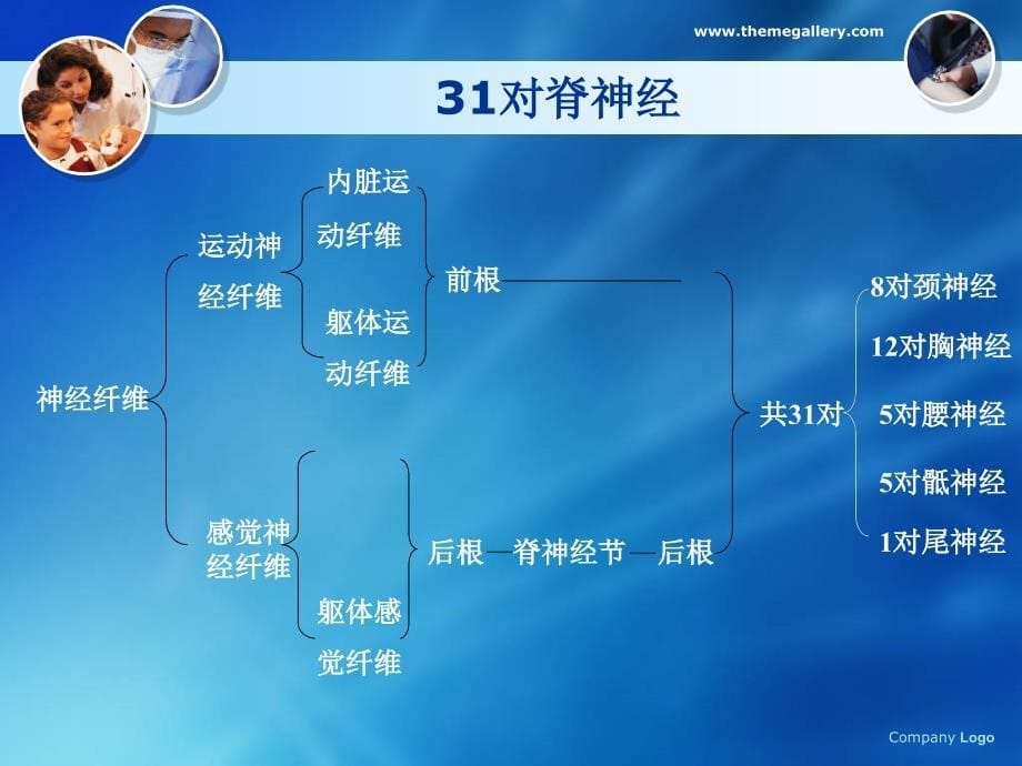 周围神经病损_第5页