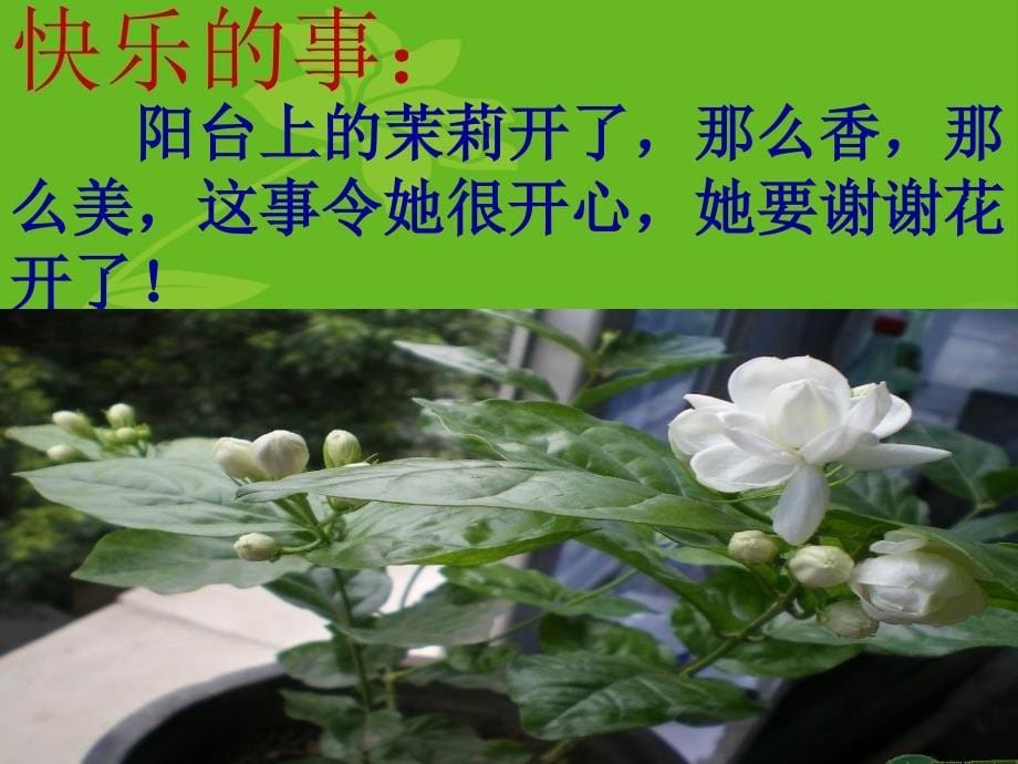 花开了,就感激精品教育_第5页