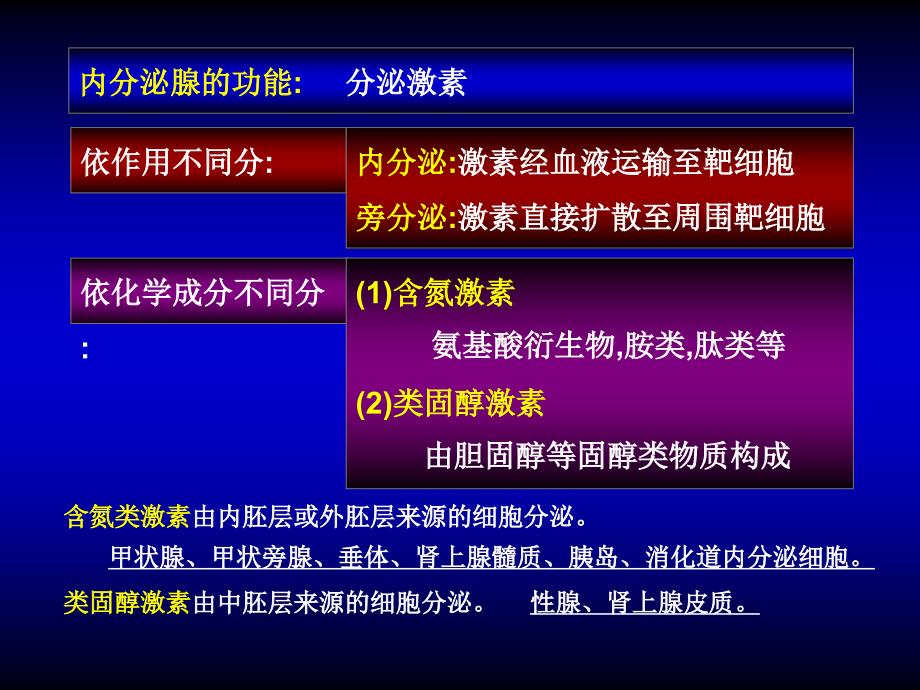 人体组织学与解剖学：09-内分泌系统_第2页