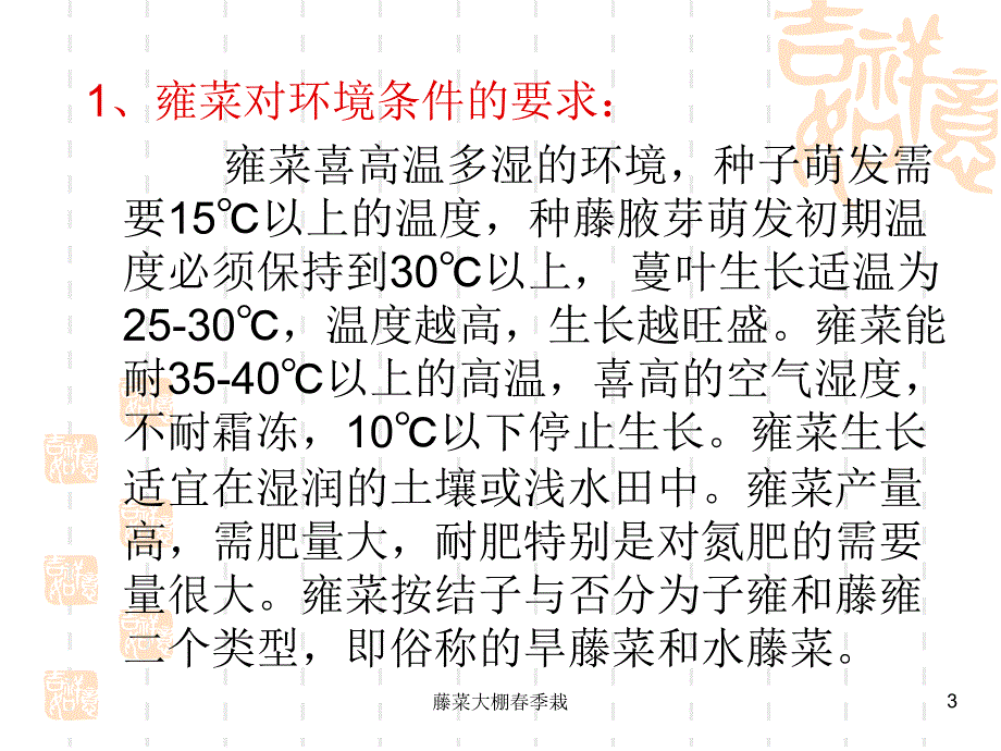 藤菜大棚季栽课件_第3页