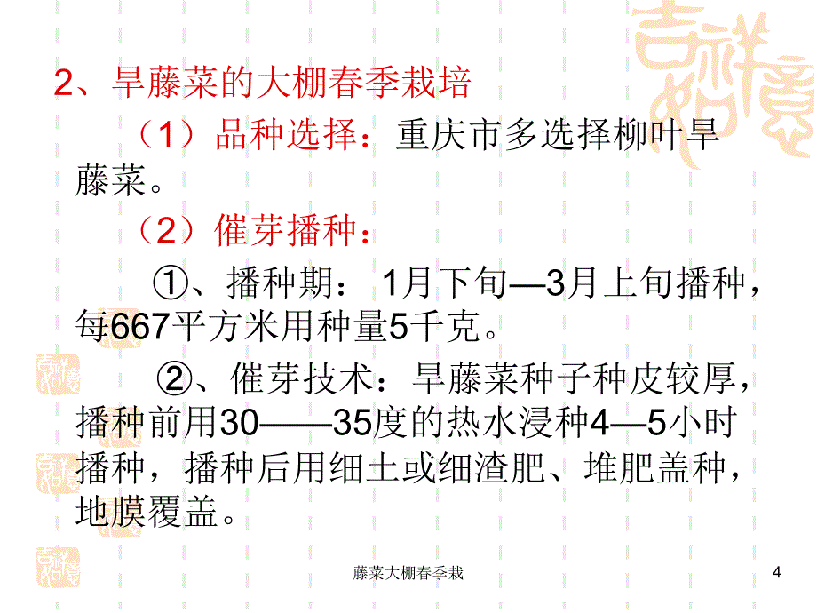 藤菜大棚季栽课件_第4页