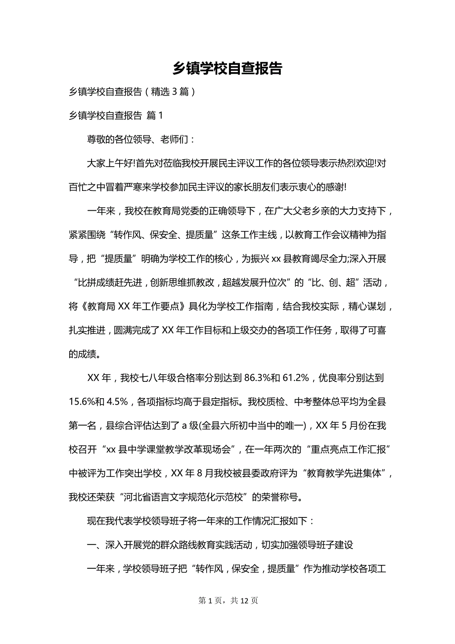 乡镇学校自查报告_第1页