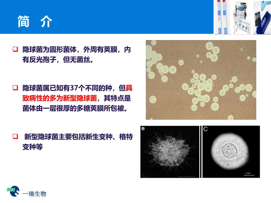 隐球菌临床推广_第3页