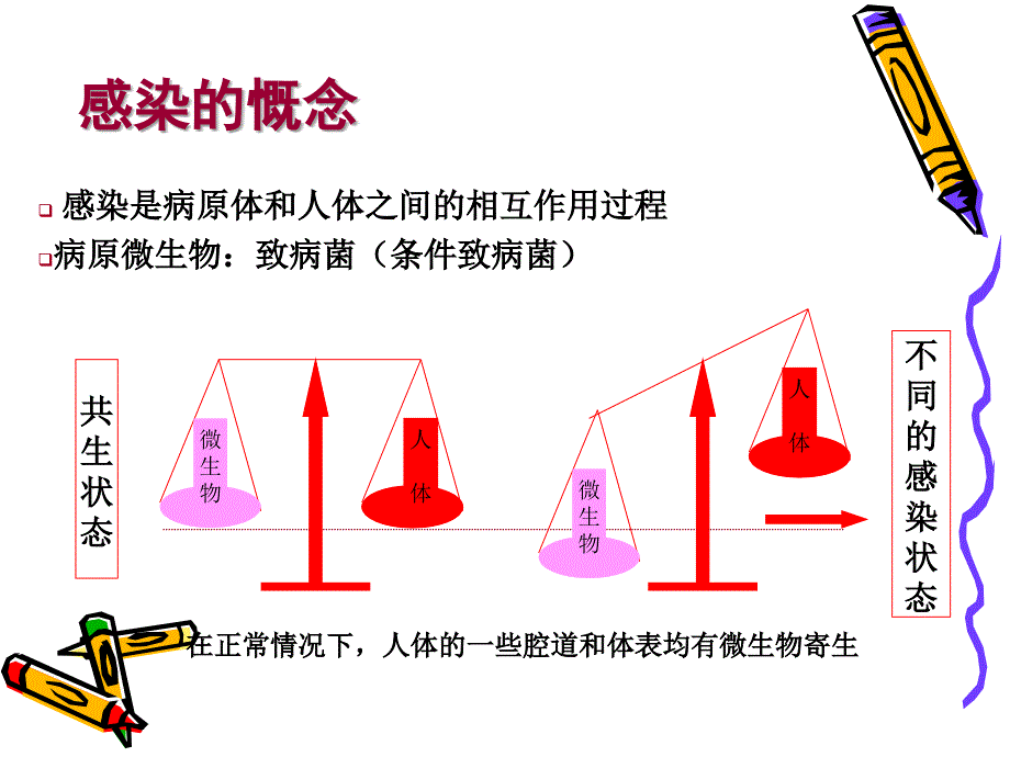 感染性疾病的分子诊断_第2页