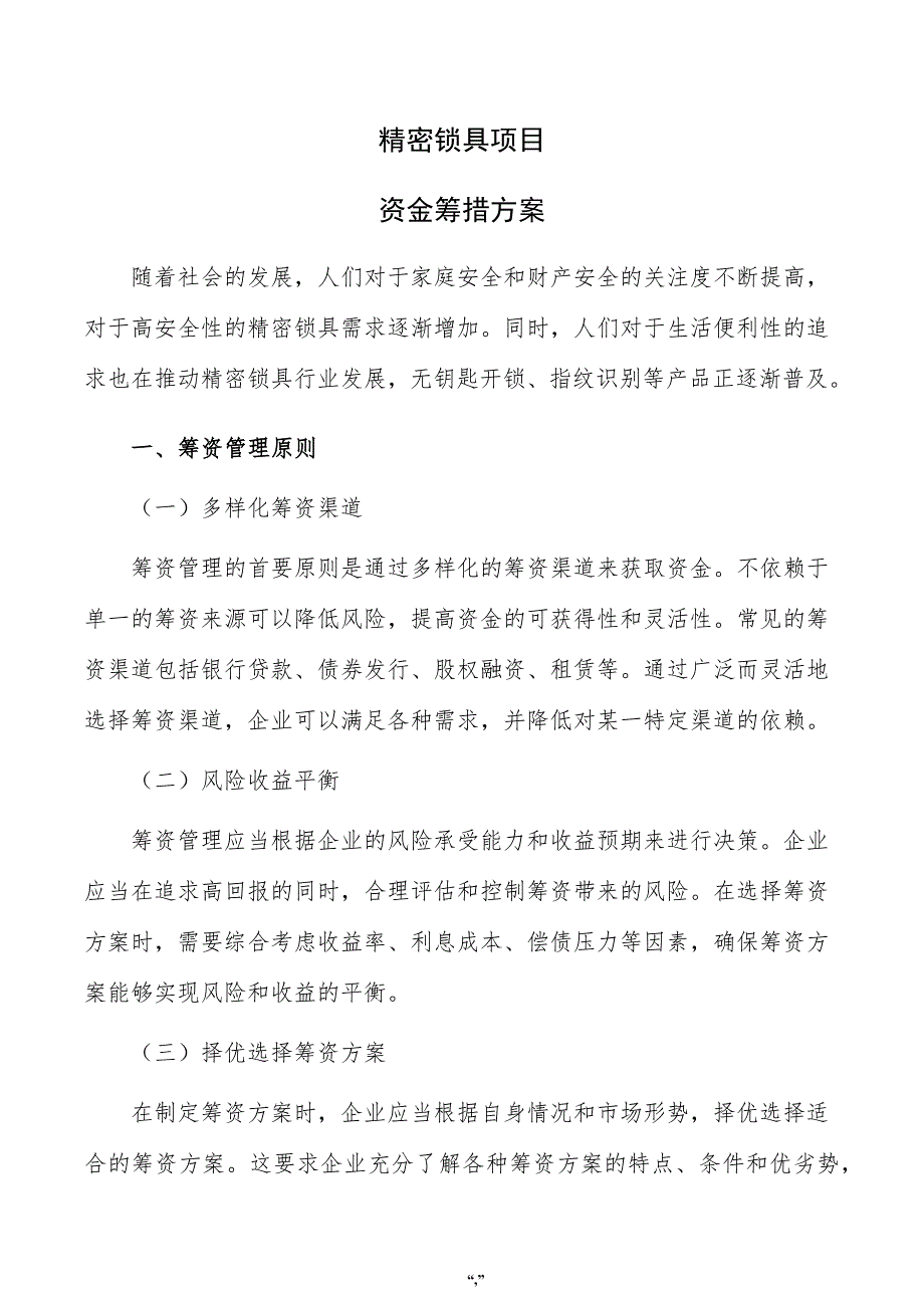 精密锁具项目资金筹措方案（参考模板）_第1页