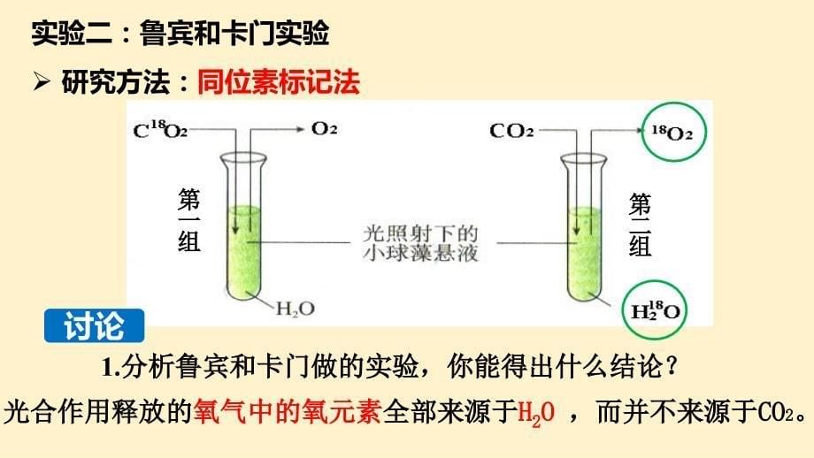 【课件】光合作用与能量转化（第二课时） 2022—2023学年高一上学期生物人教版必修1_第5页