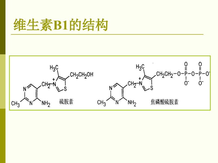 食品化学维素2_第4页