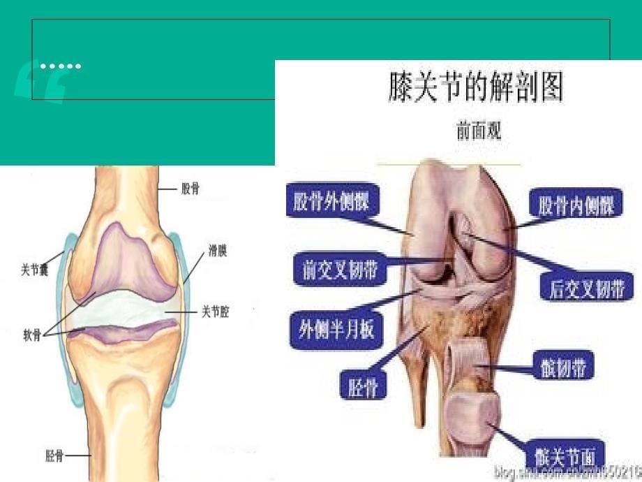 关节镜关节镜下膝关节探查清理术PPT课件_第5页