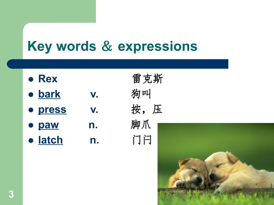 新概念英语第二册Lesson59PPT演示课件_第3页