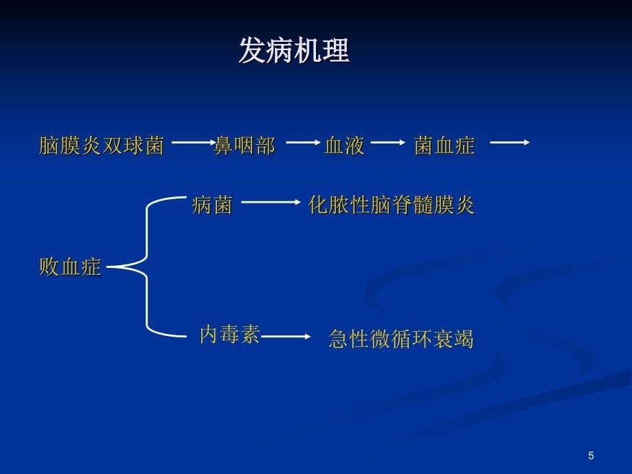 第四节流行性脑脊髓膜炎_第5页