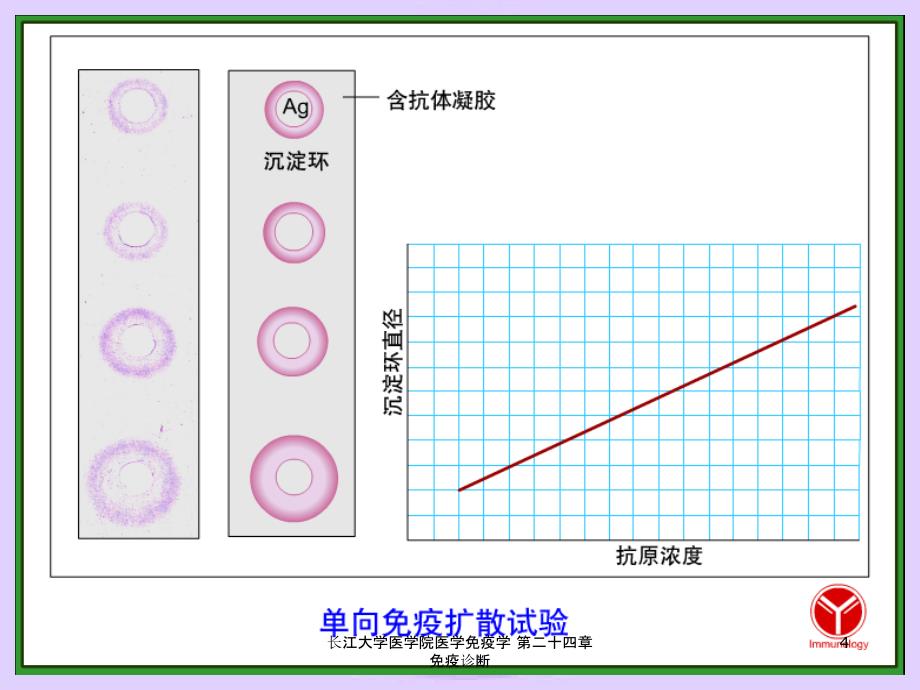 长江大学医学院医学免疫学第二十四章免疫诊断课件_第4页