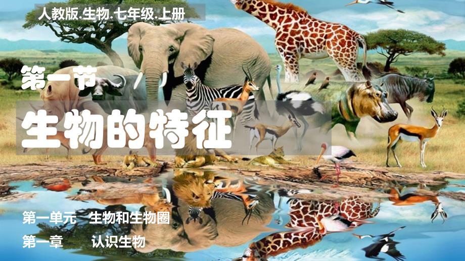 【课件】生物的特征课件人教版生物七年级上册_第4页