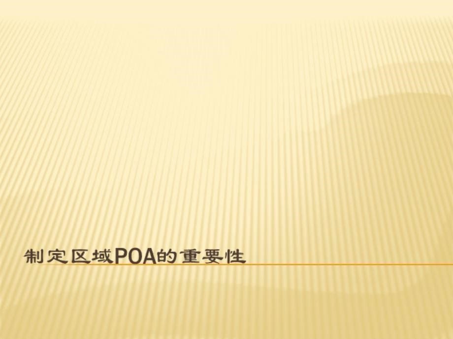 医药区域产品经理项目与行动计划制定POA_第5页