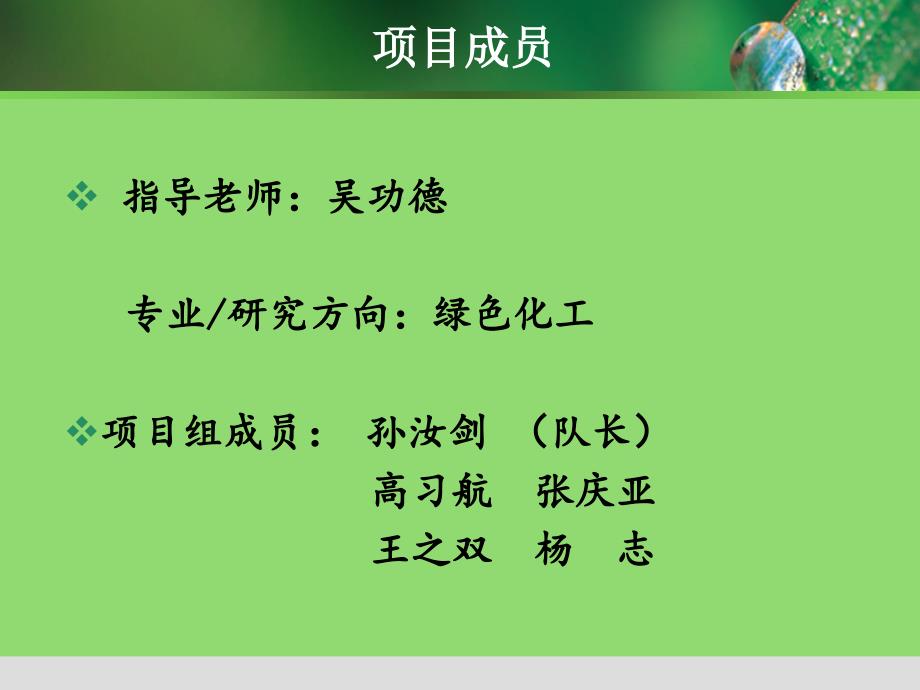 南京绿色化工有限公司_第2页