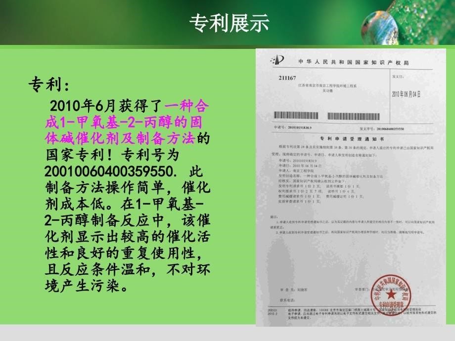 南京绿色化工有限公司_第5页