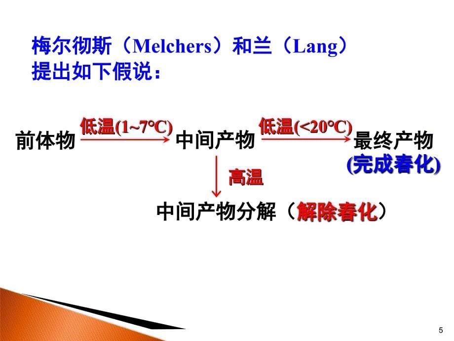 化作用与光周期课件_第5页