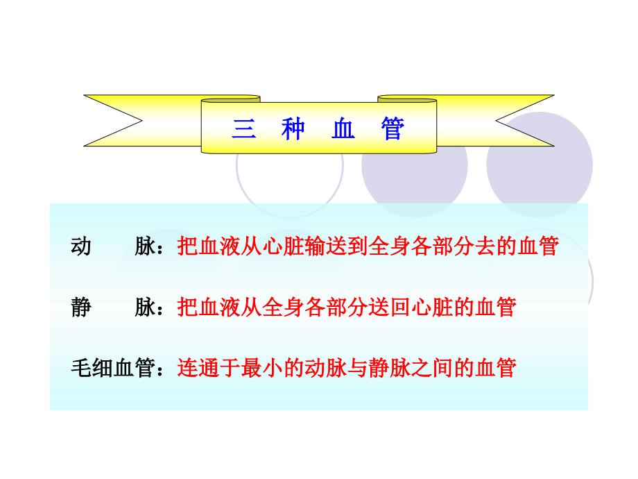 七年级下册生物血管_第2页