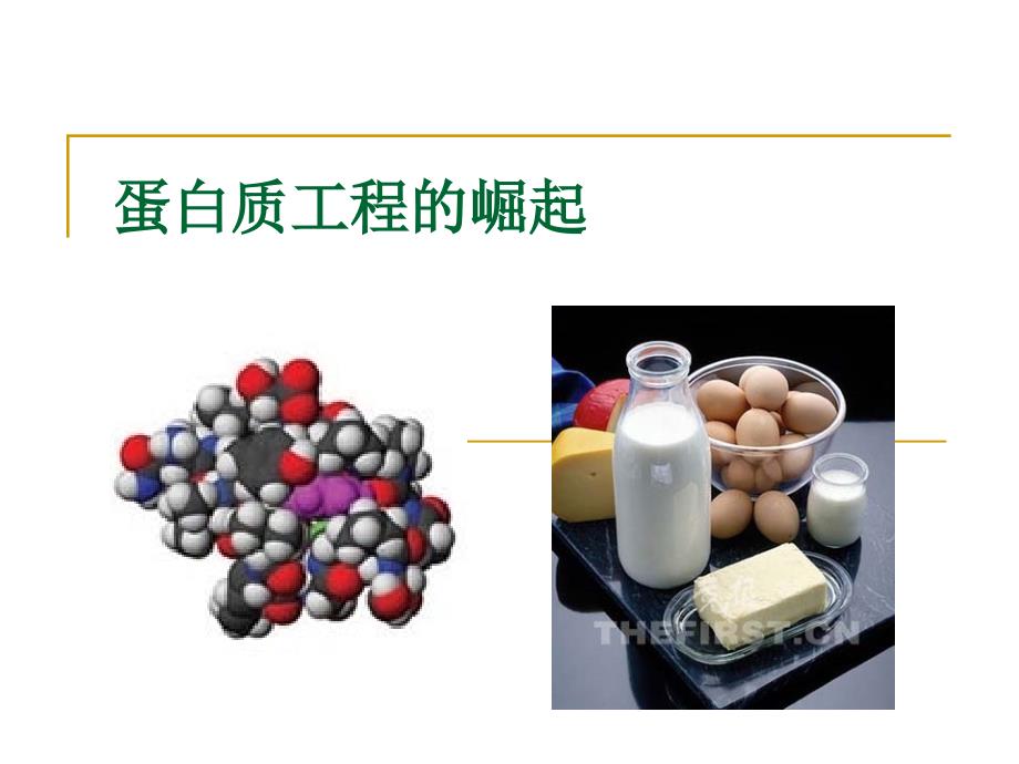 14蛋白质工程的崛起_第1页