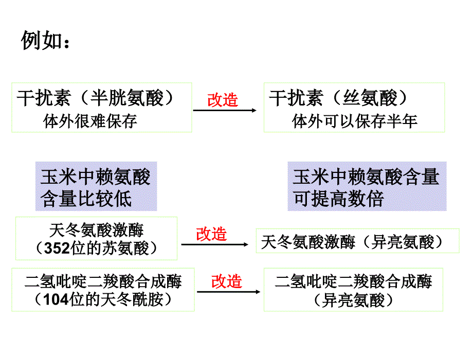 14蛋白质工程的崛起_第3页