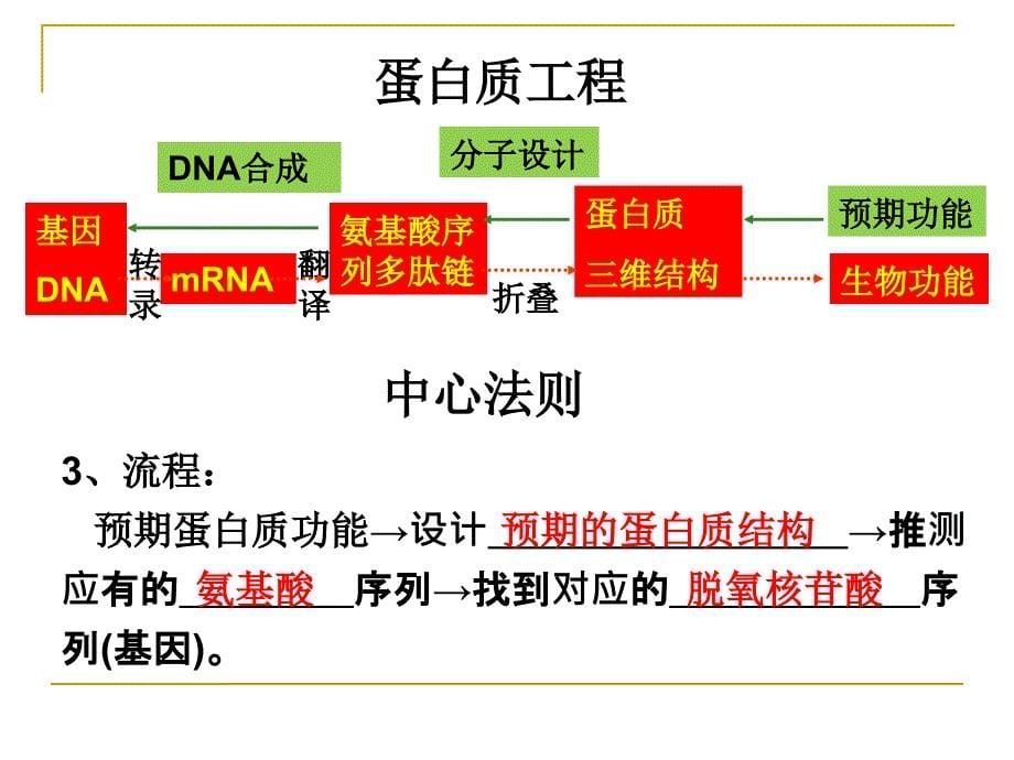 14蛋白质工程的崛起_第5页