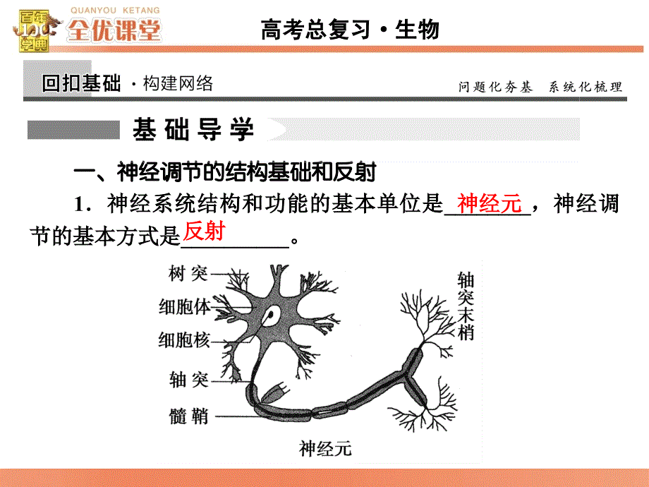 全优课堂高考生物一轮配套课件：8.27通过神经系统的调节_第3页