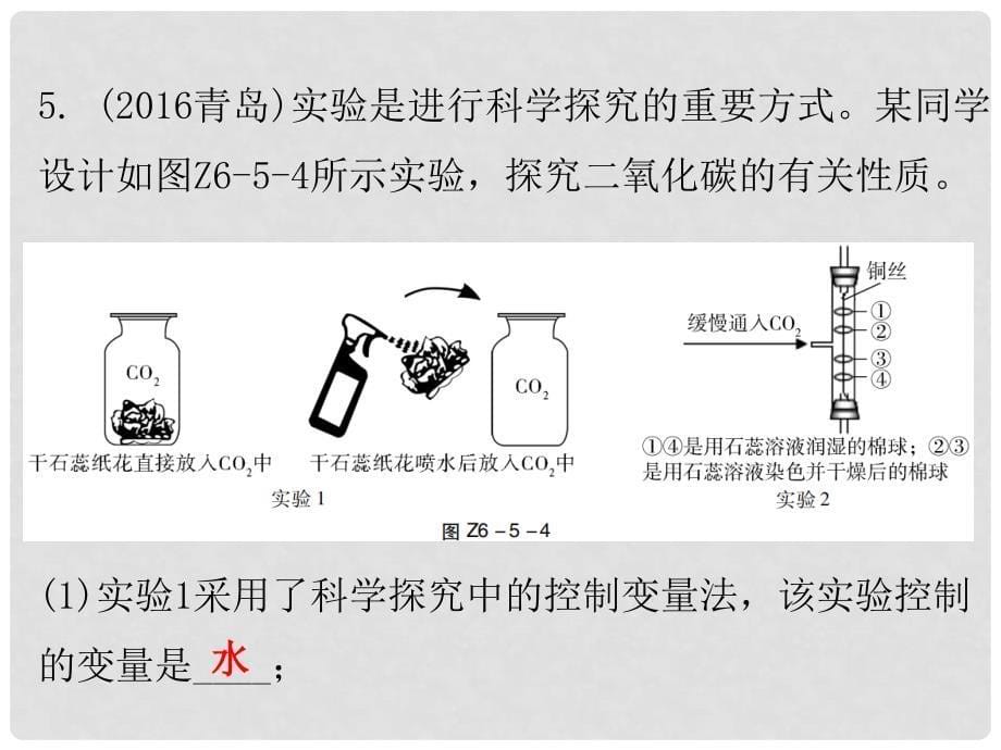 九年级化学上册 期末复习精炼 第六单元 碳和碳的氧化物 专题五 二氧化碳的性质课件 （新版）新人教版_第5页