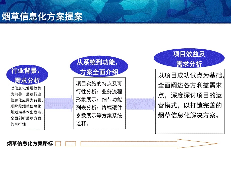 烟草信息化系统解决方案讲解_第2页