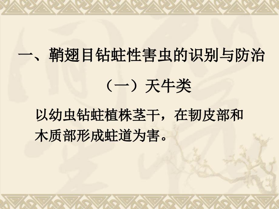 园林植物常见害虫种类和防治四任务三_第2页