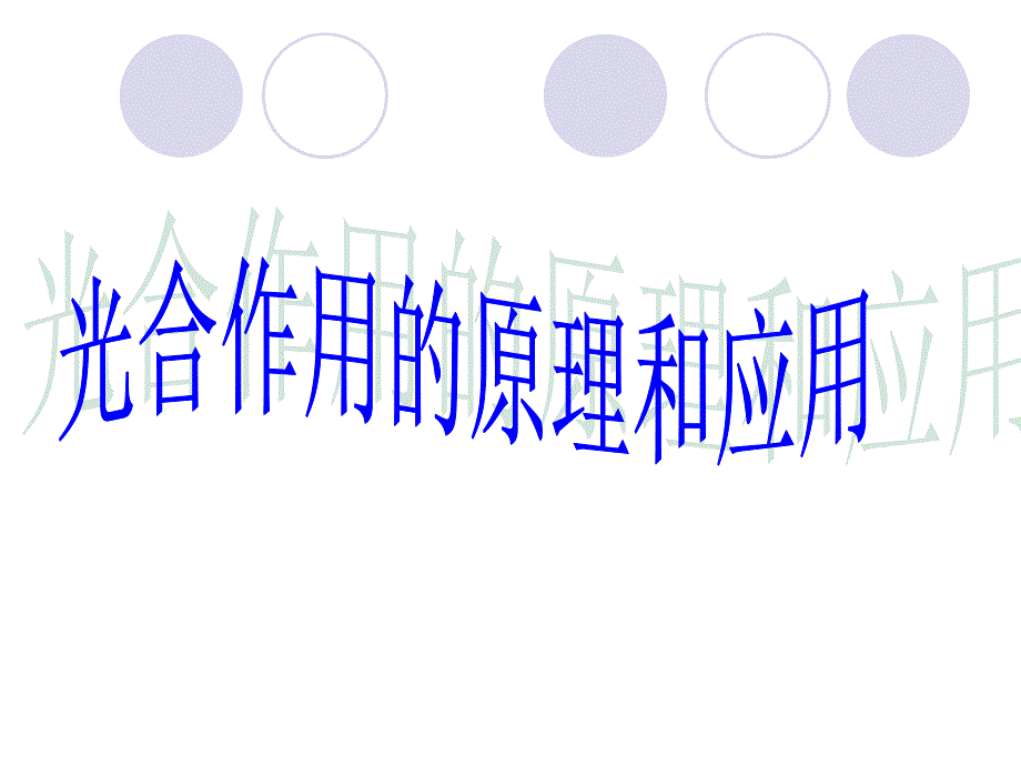 54光与光合作用_第2页