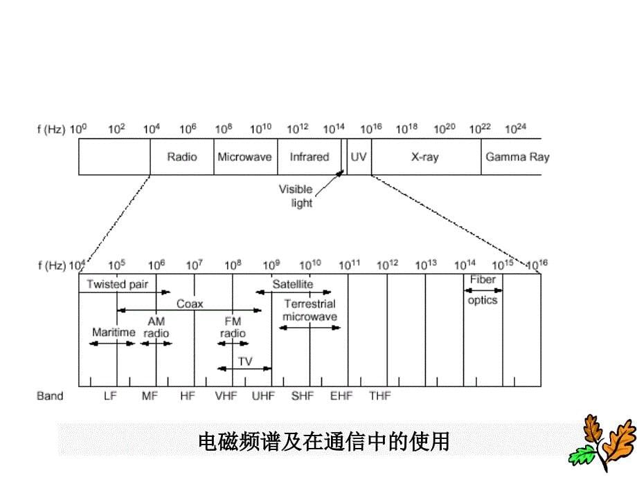 物理层传输媒体与拓扑结构_第5页